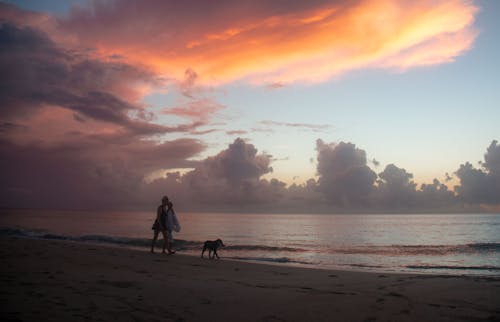 Two People and a Dog Walking on a Beach at Sunset