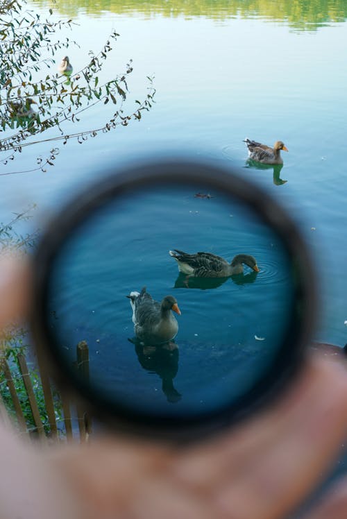 dikey atış, el, eller insan eli içeren Ücretsiz stok fotoğraf