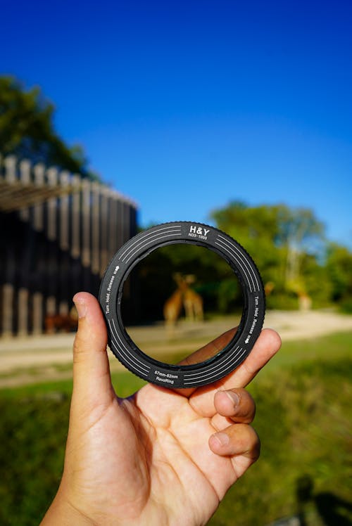 ayakta, bukle, çim içeren Ücretsiz stok fotoğraf