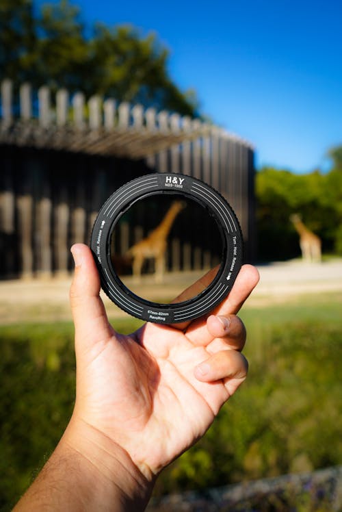 ayakta, dikey atış, el içeren Ücretsiz stok fotoğraf