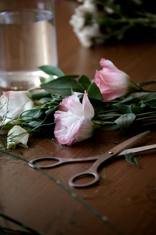 Foto d'estoc gratuïta de decoració, flors, flors roses clares