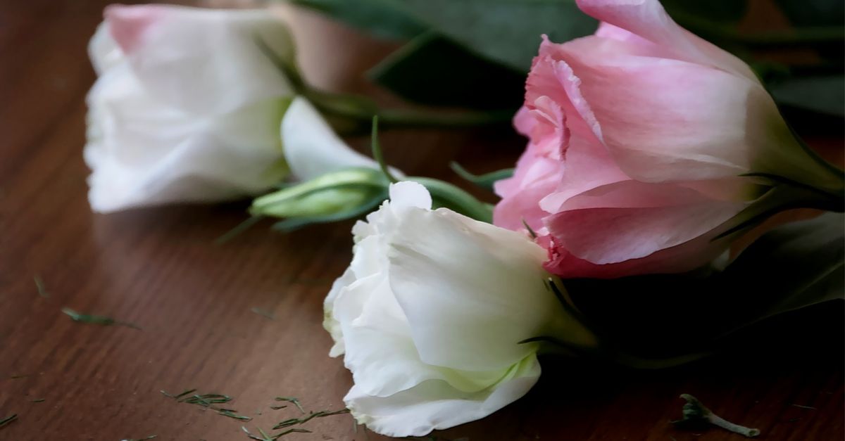 Cut Roses Images Cut Roses Lying on Wooden Table · Free Stock Photo