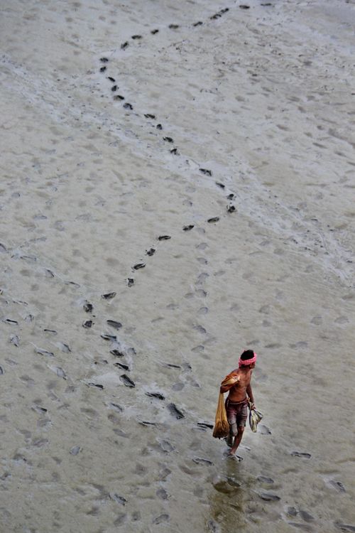 Free A man walks along a sandy beach leaving footprints behind him, captured from above. Stock Photo