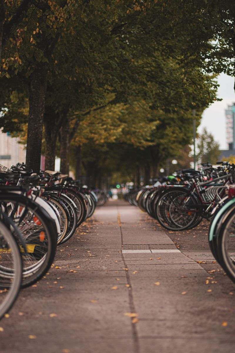 A tree-lined street filled with parked bicycles during the fall season, showcasing urban life.