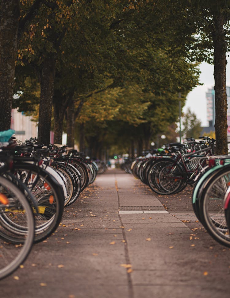 Bikes Parked Along Sidewalk In City