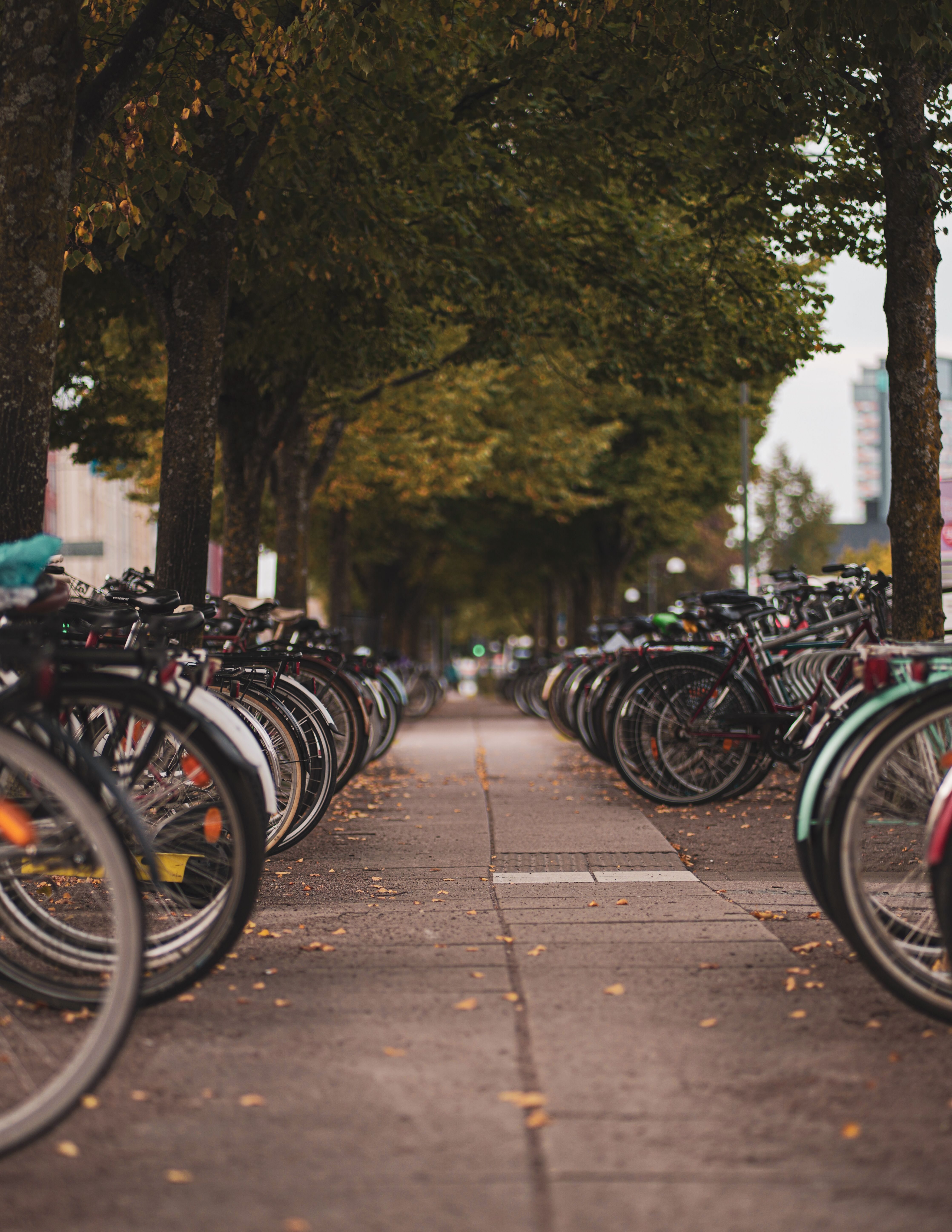 e bikes for sale near me