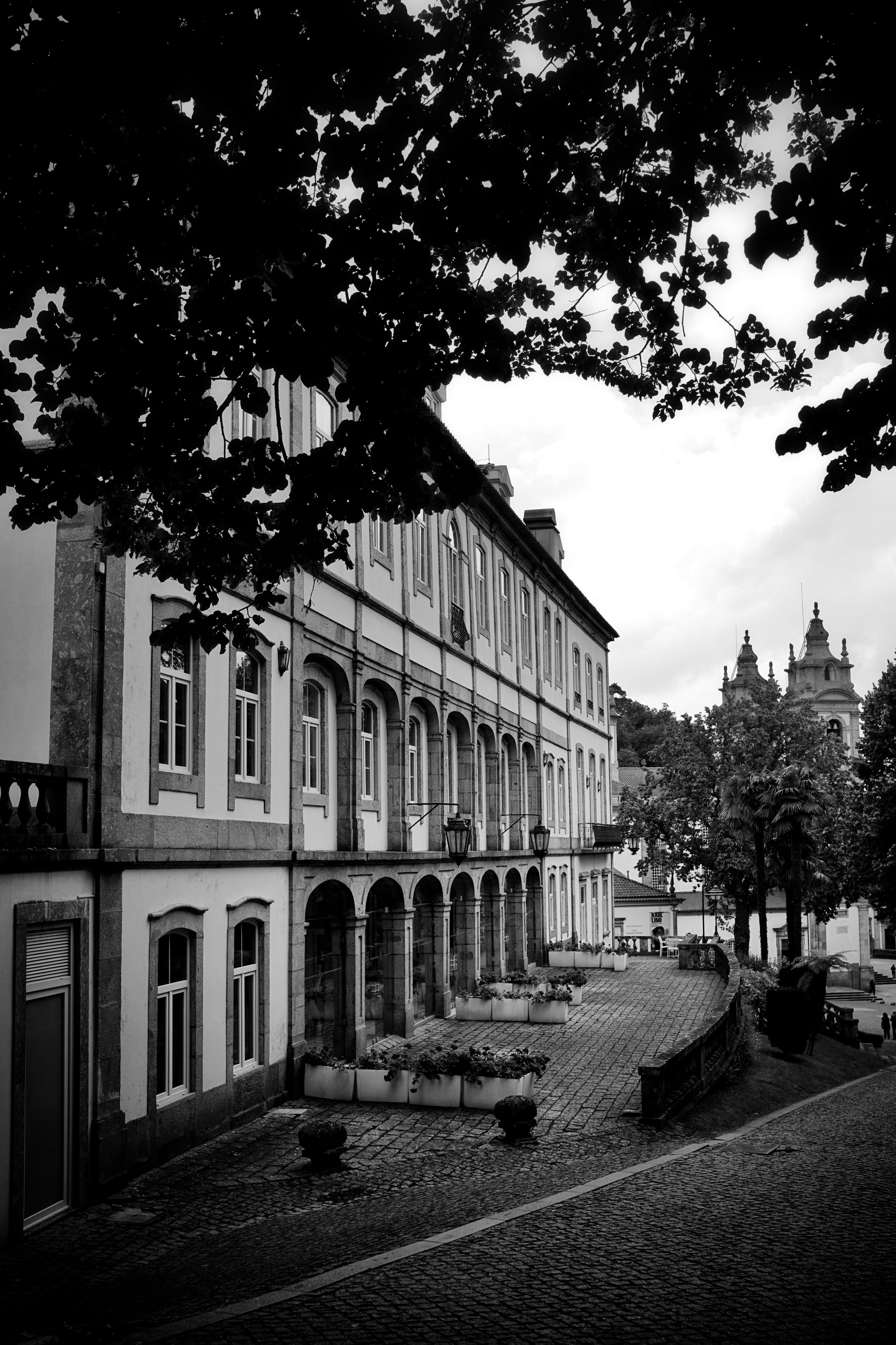 Townhouses in Old Town in Black and White · Free Stock Photo