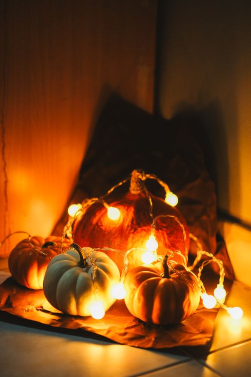 Free Warm autumn arrangement with illuminated pumpkins creating a cozy ambiance. Stock Photo