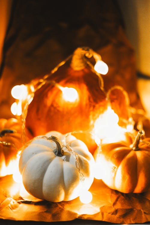 かぼちゃ, クリスマスの灯り, セレクティブフォーカスの無料の写真素材