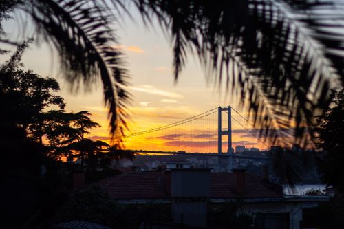 Free Stunning sunset view of the Bosphorus Bridge framed by trees, capturing the city's serene evening ambiance. Stock Photo