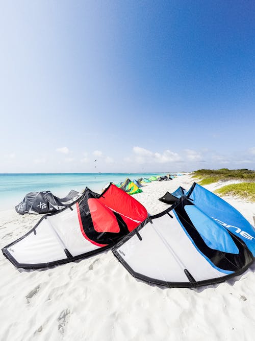 Kites on a Sunny Beach 