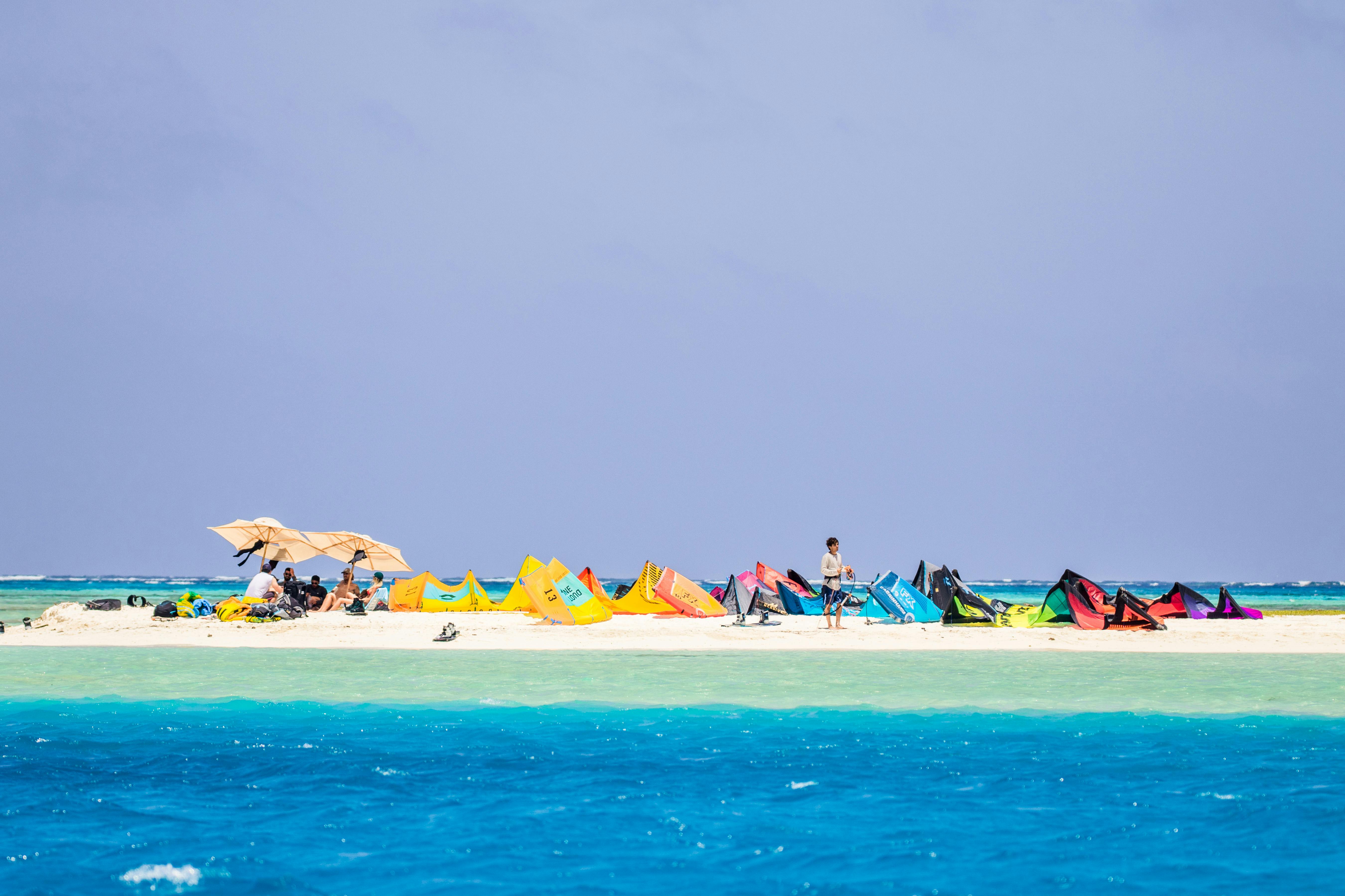 Group Pic Photos, Download The BEST Free Group Pic Stock Photos & HD Images