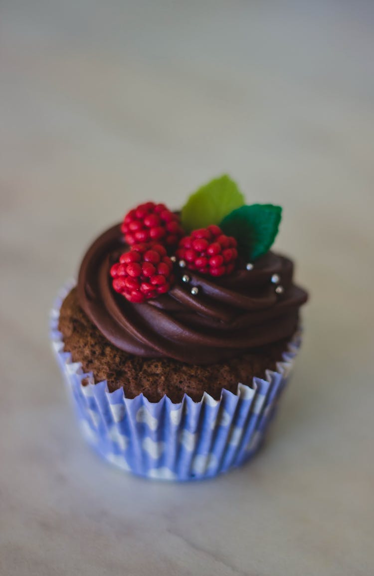 Chocolate Cupcake