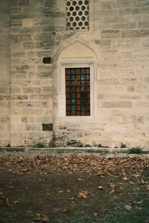 Leaves near Vintage Building Wall and Window