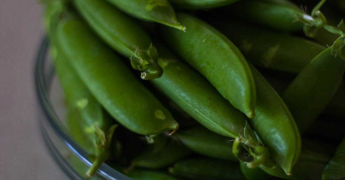 How do beans grow