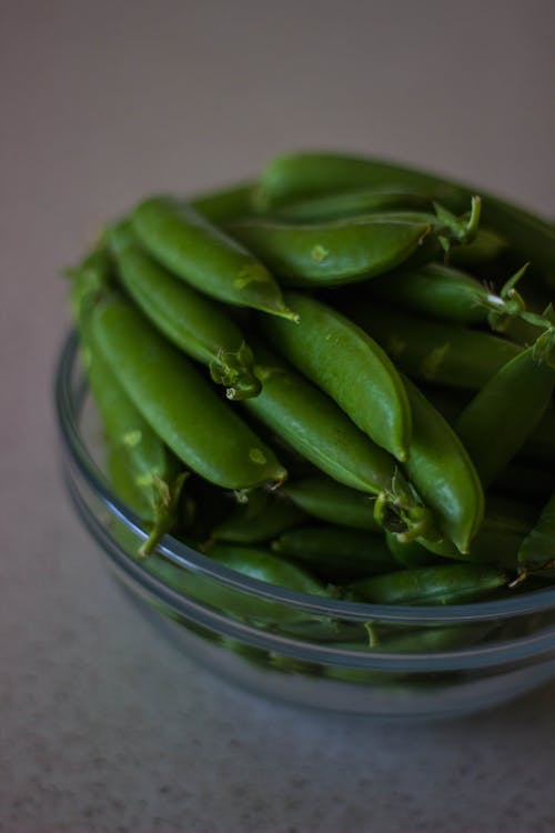무료 녹색 Chilis의 초점 사진 스톡 사진