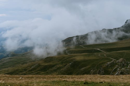 Steaming Pastures on the Mountainside