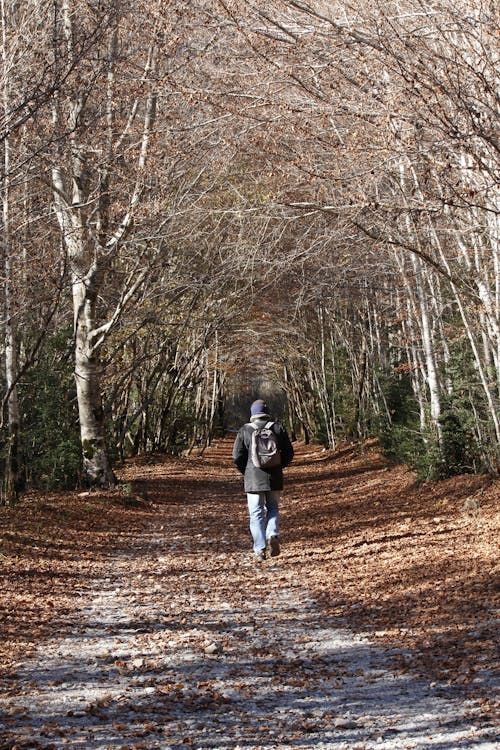 Ilmainen kuvapankkikuva tunnisteilla kuja, kuljeskelu, mies