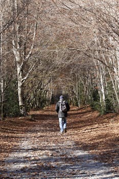 Man walking on forest path in fall near Huesca, Spain