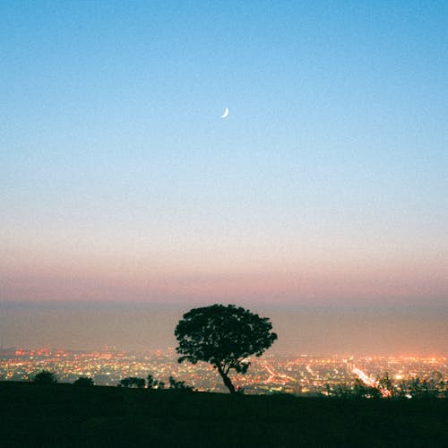 Crescent Moon over City