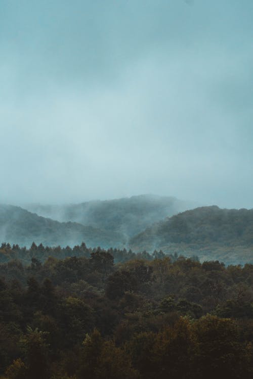 Foto profissional grátis de colinas, floresta, garoa