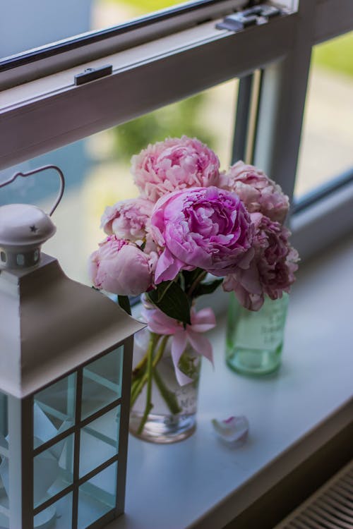 Petali Di Fiori Rosa Sul Vaso Su Superficie Di Legno Bianca