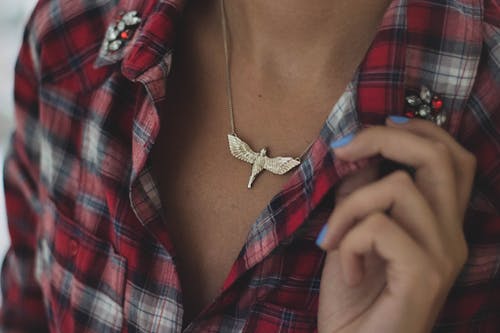 Person Holding Red Collar