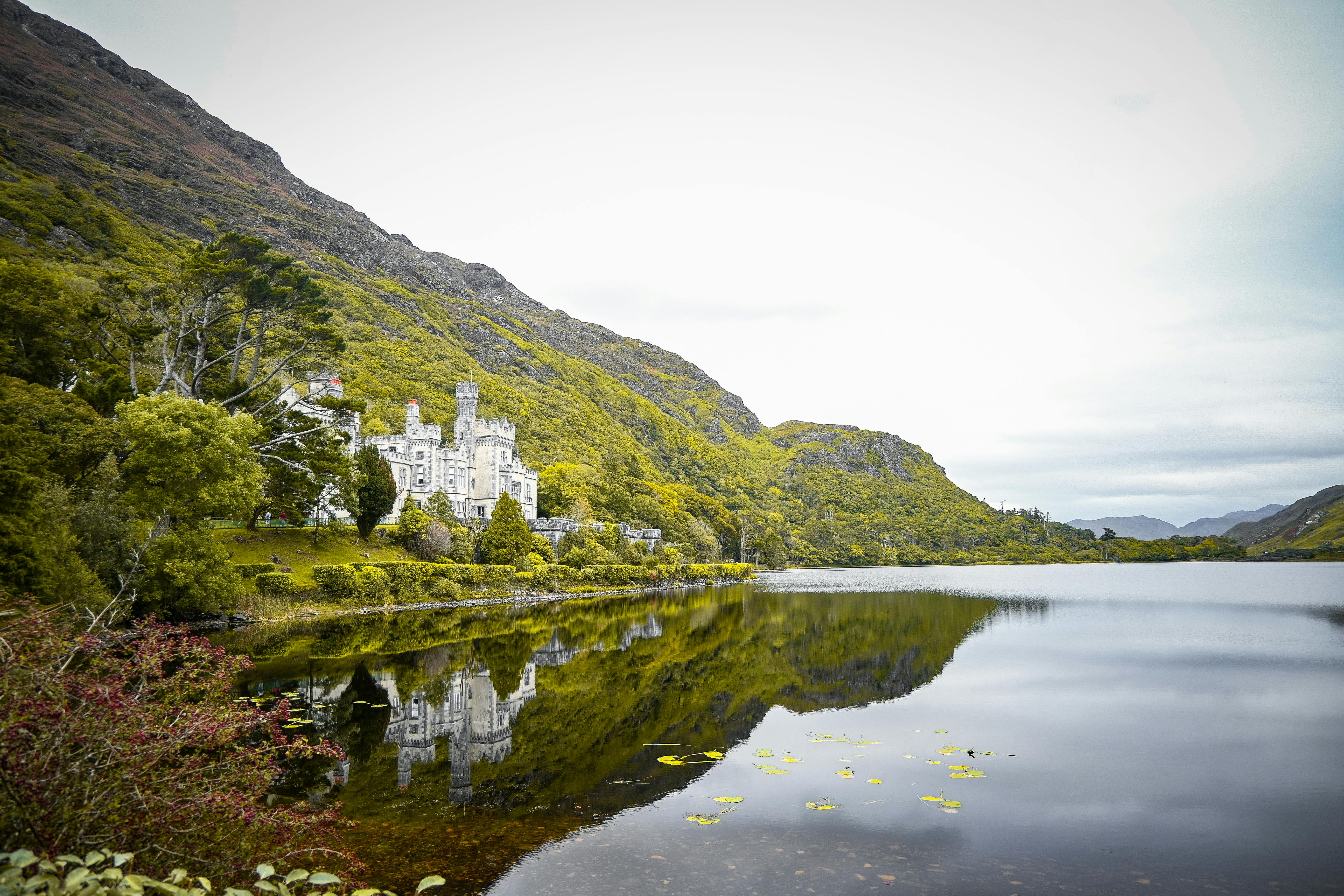 Kylemore Abbey Victorian Walled Garden In Ireland Free Stock Photo   Pexels Photo 18549172 