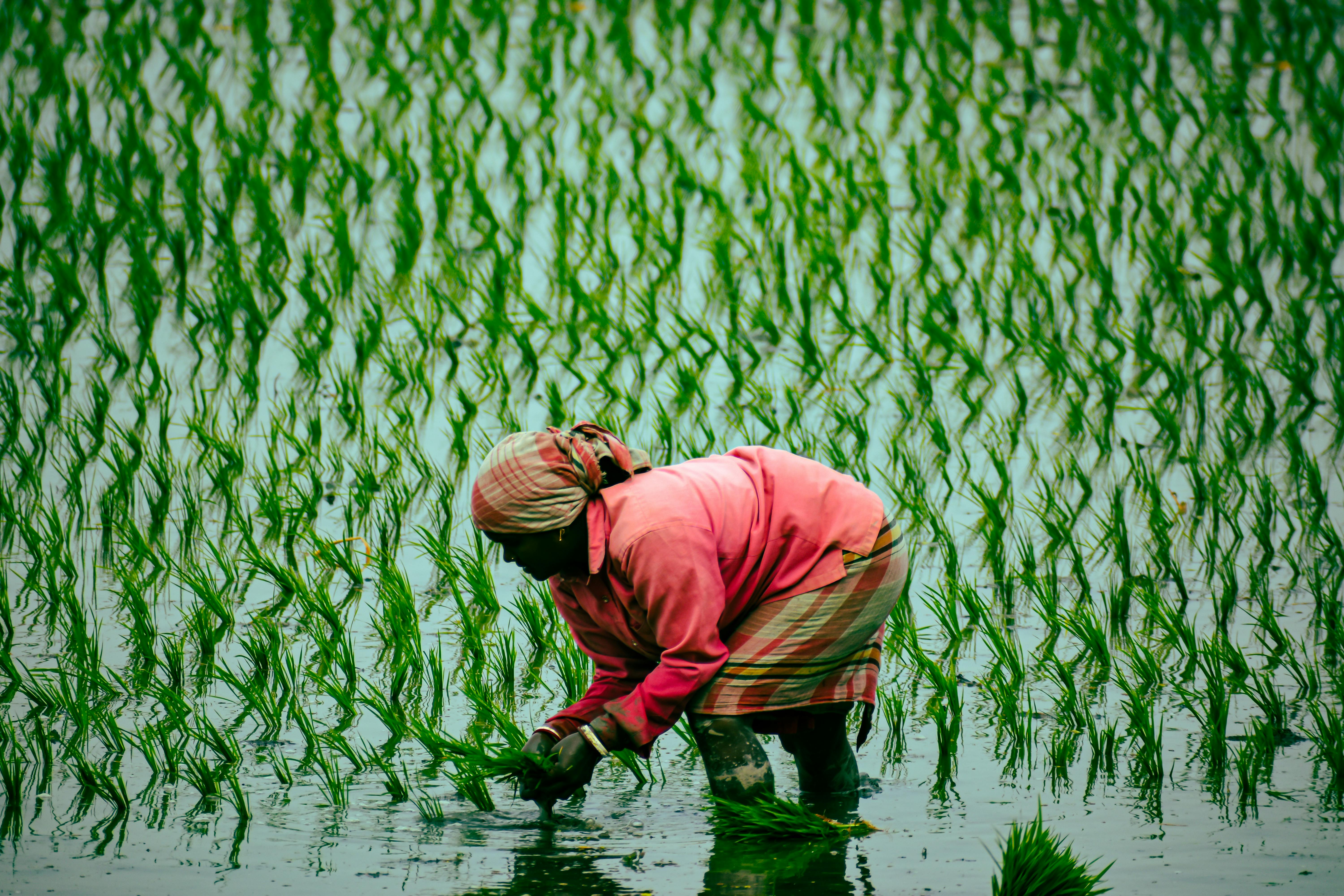 Climate Change Adaptation and Resilience Plan — Photo by Aniruddha Debnath on Pexels