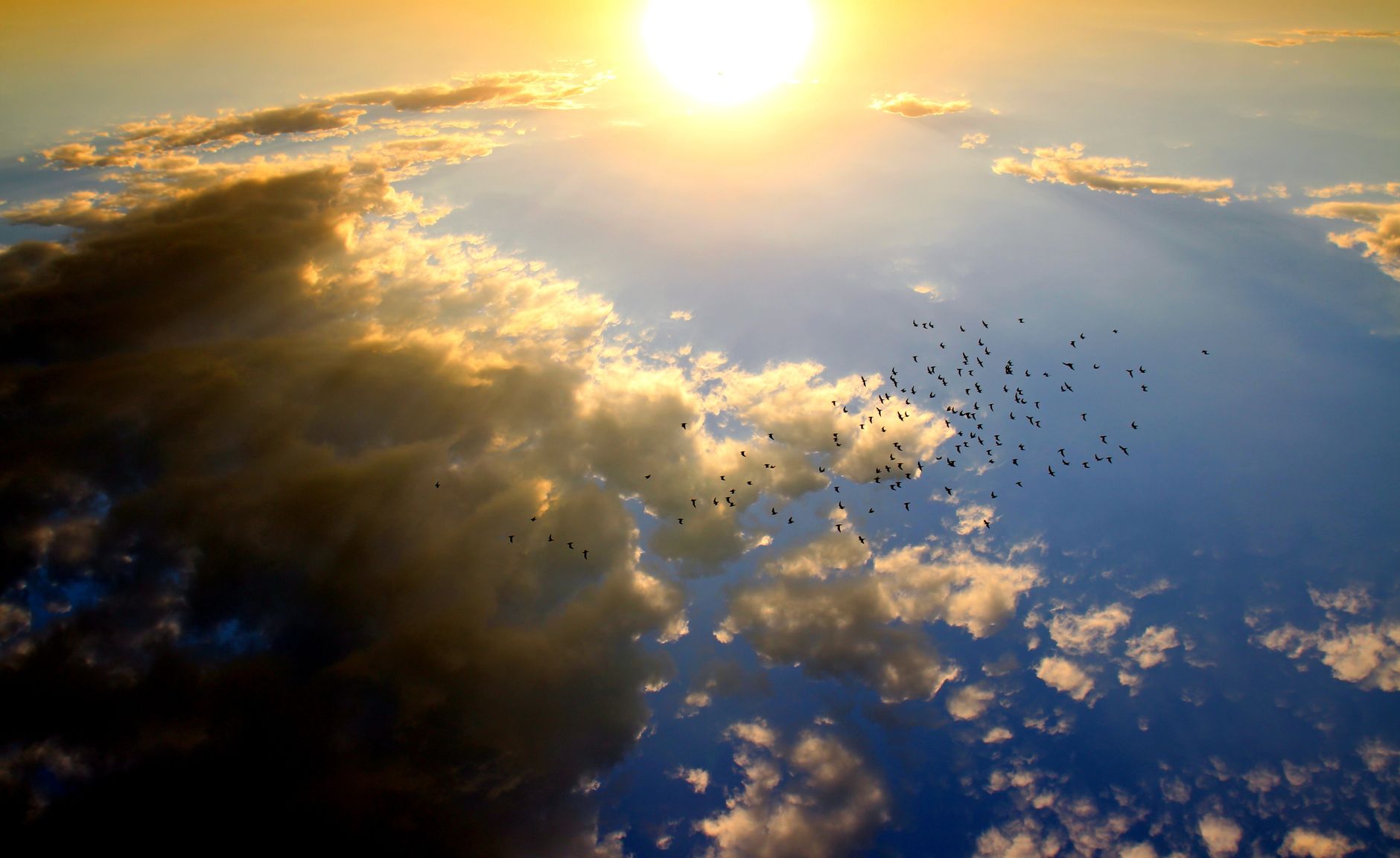 Stunning sunset view with clouds and a flock of birds creating a dramatic sky scene.