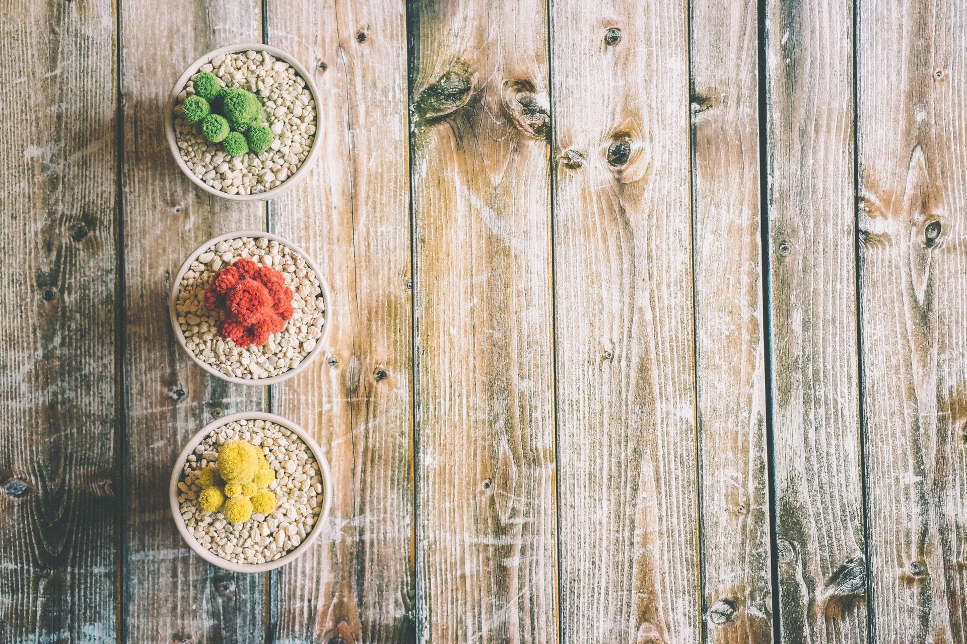 Red, Green, and Yellow Plant Decors