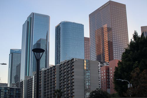 Modern Buildings in Downtown in Los Angeles