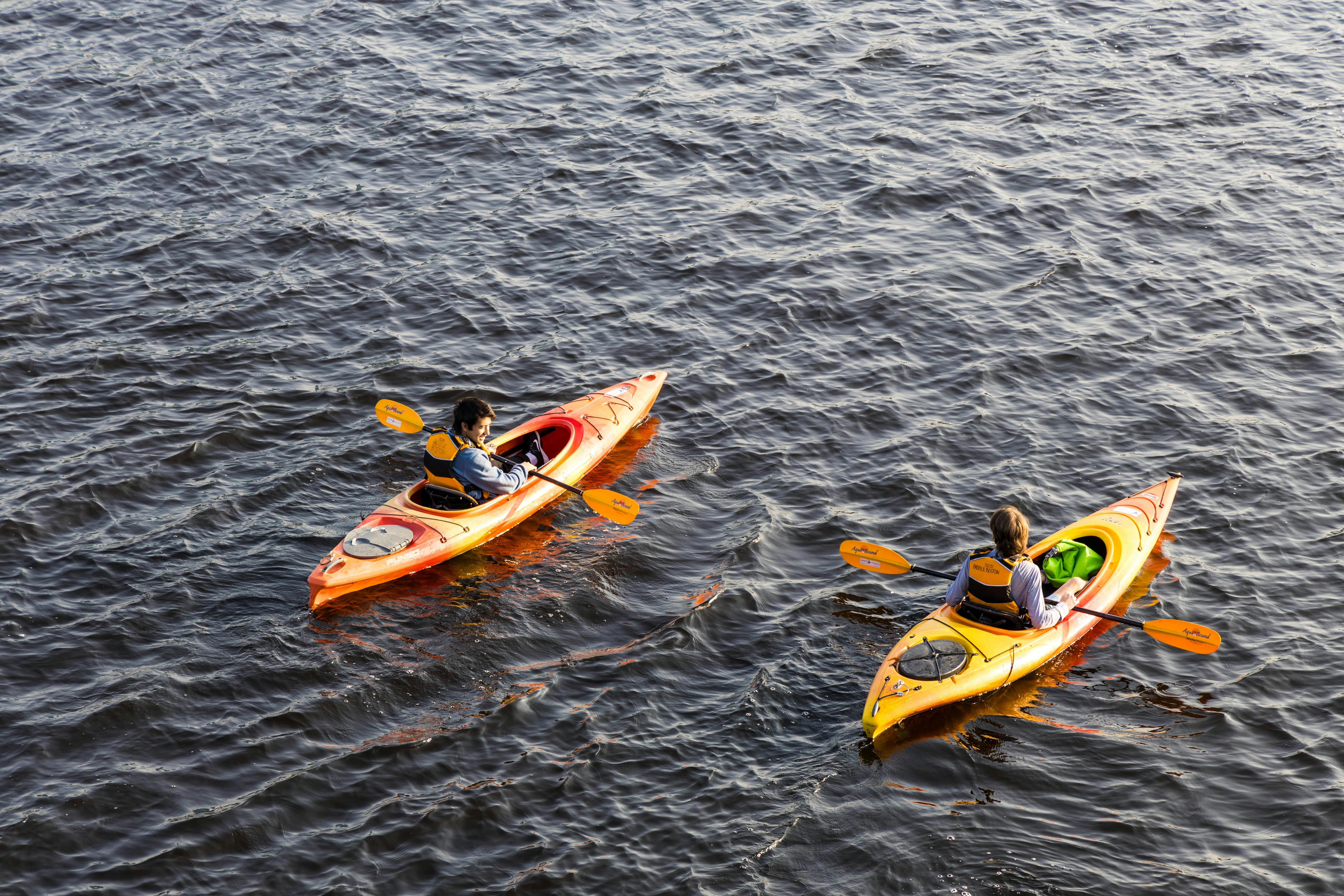 Policy Brief: Outdoor Recreation and Public Health — Photo by Phil Evenden on Pexels
