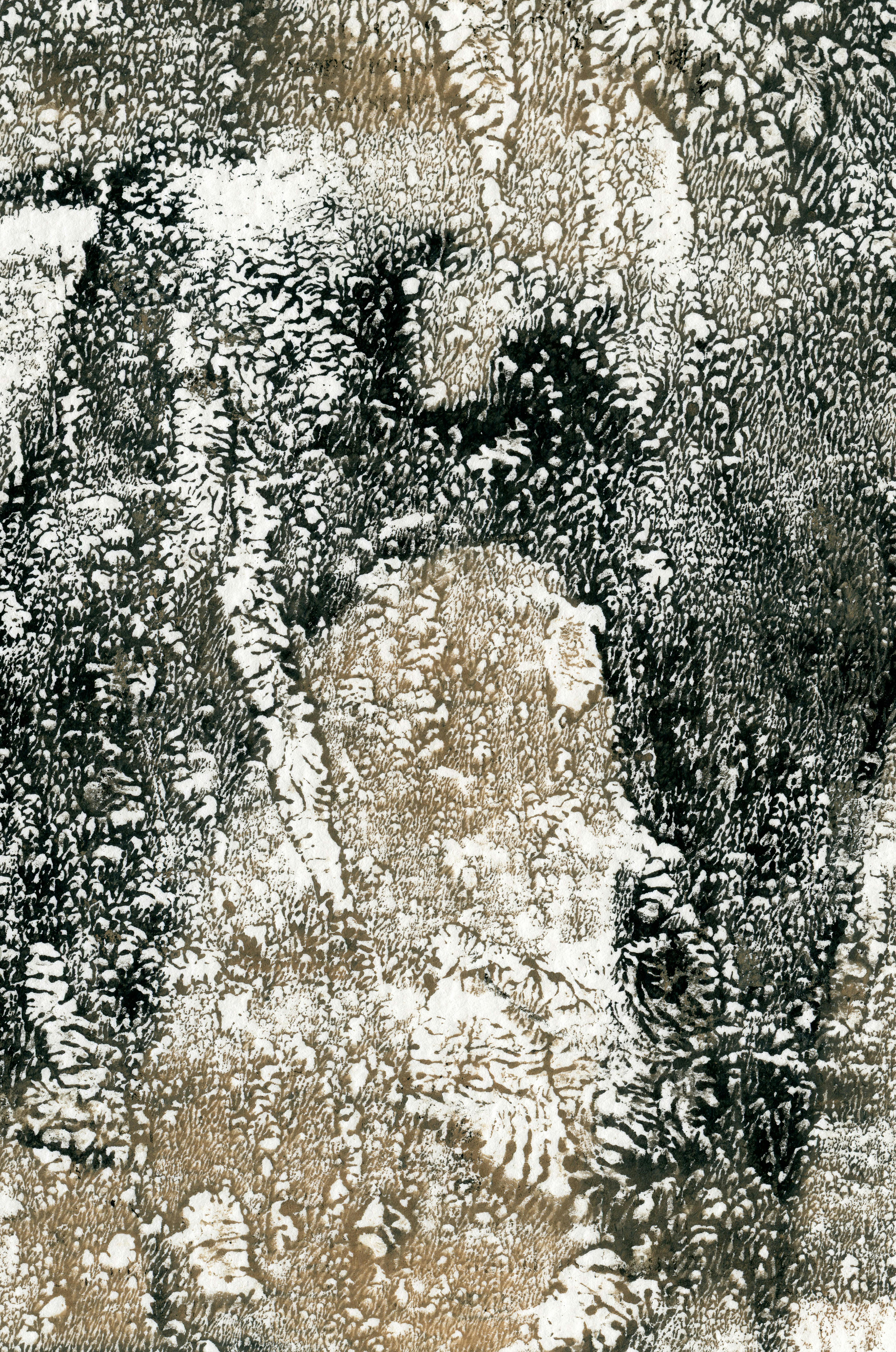 Abstract art with organic patterns resembling natural textures in a dark and earthy tone.