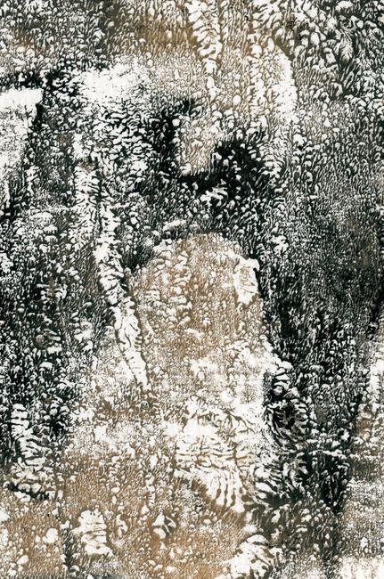 Abstract art with organic patterns resembling natural textures in a dark and earthy tone.