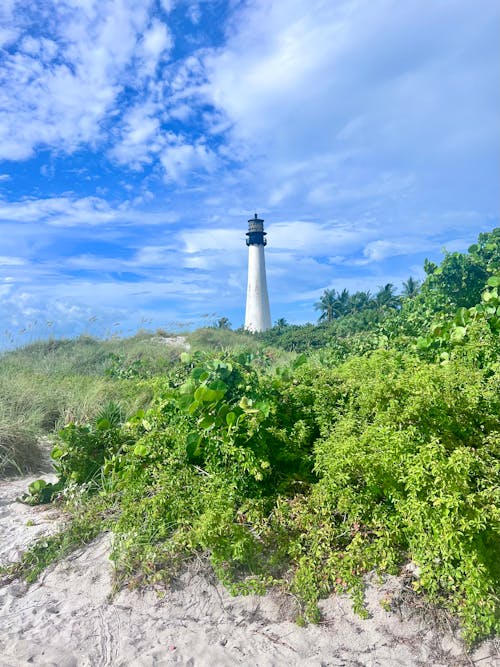 abd, cape florida işık, deniz feneri içeren Ücretsiz stok fotoğraf