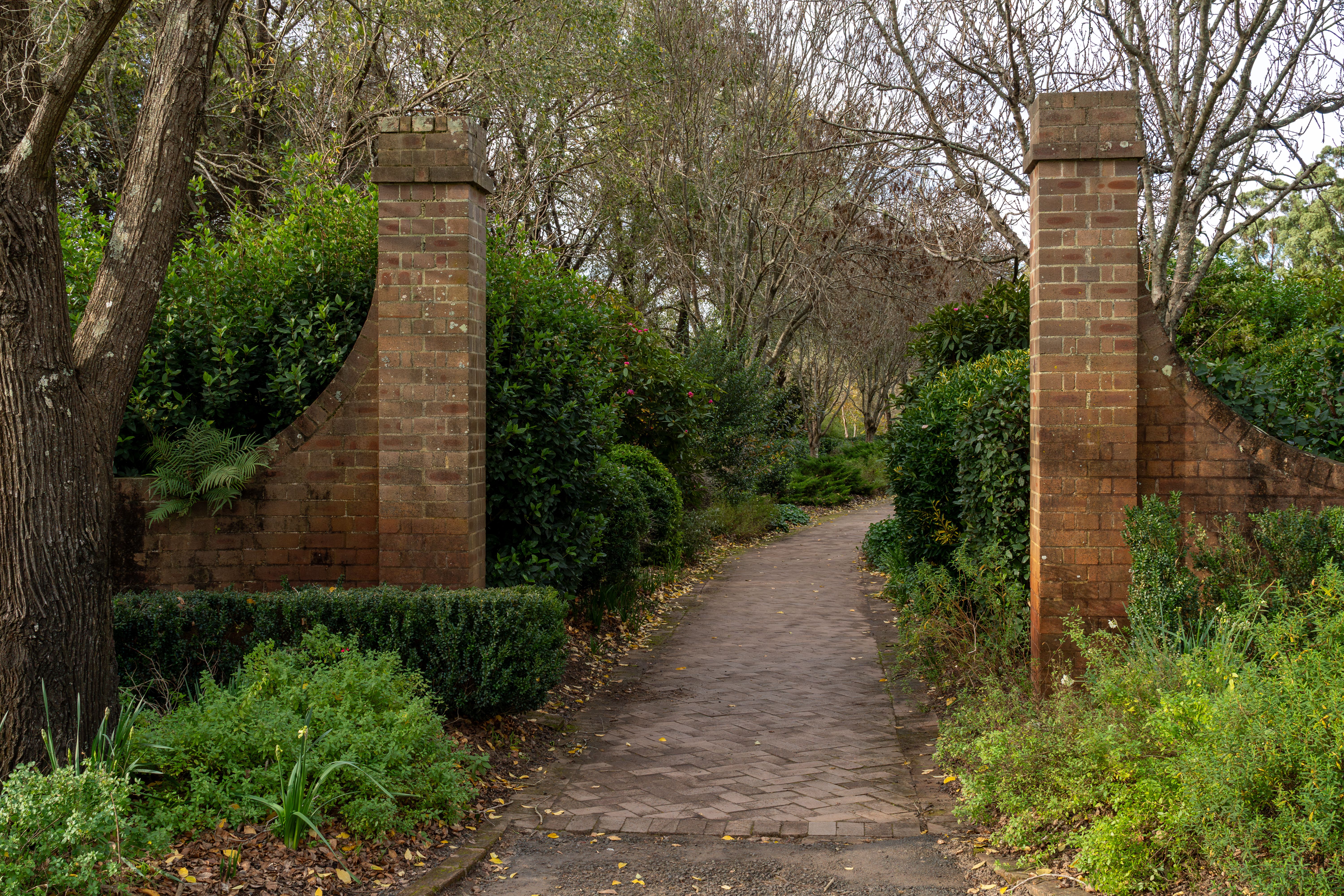 Landscapers Sydney