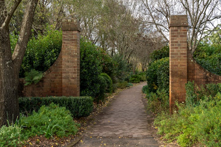 Alley In Park