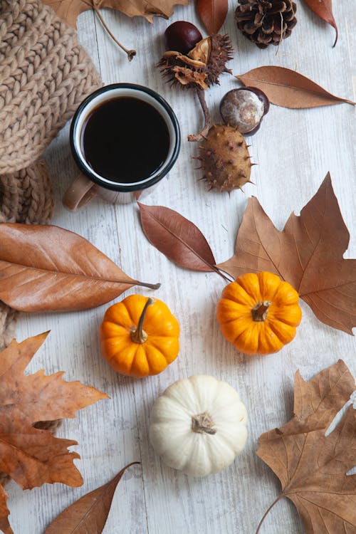 Coffee, Pumpkins and Autumn Leaves