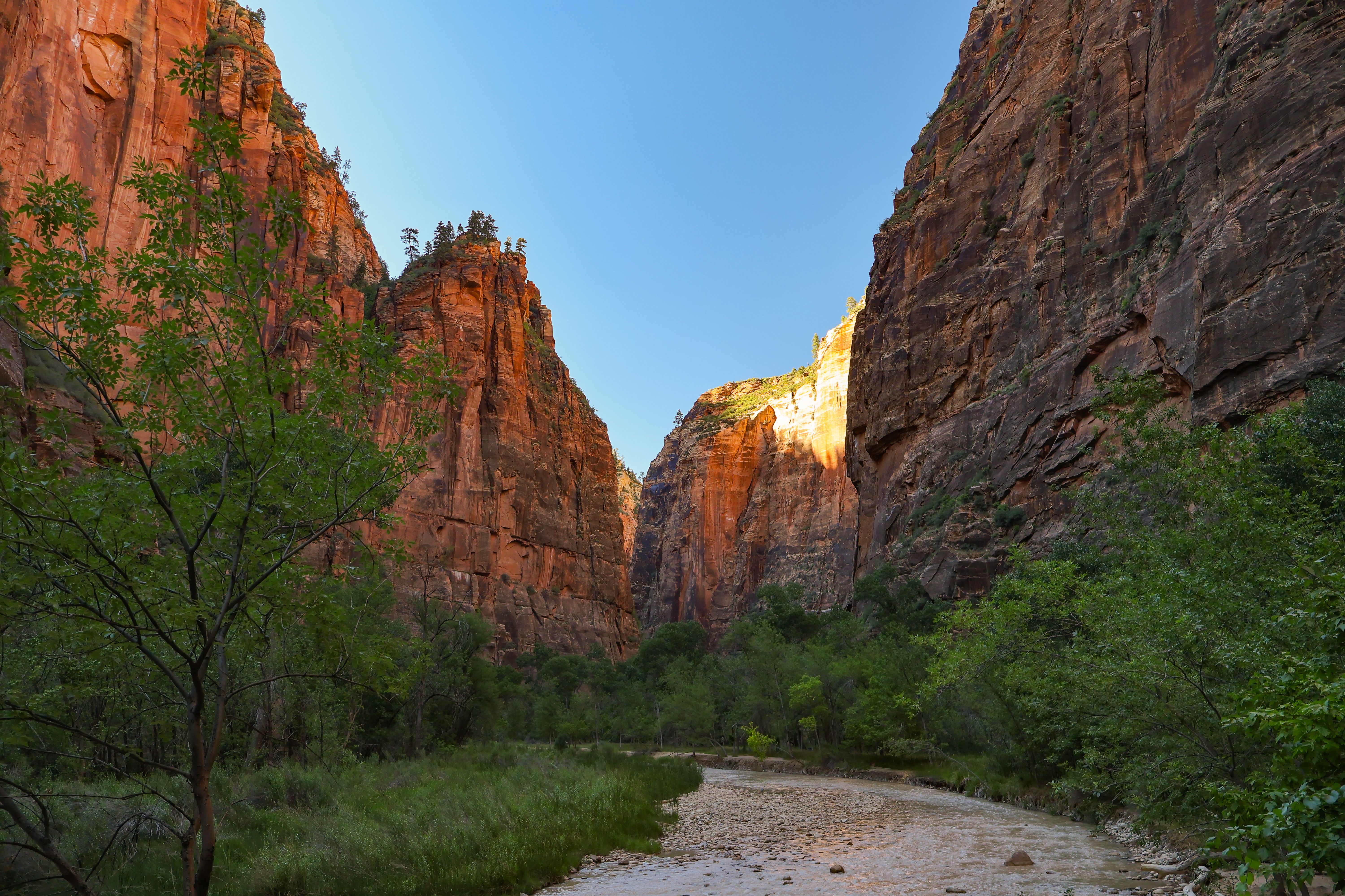 Paisagem de cânion ao pôr do sol através do Parque Nacional Zion perto de Springdale, Estados Unidos.