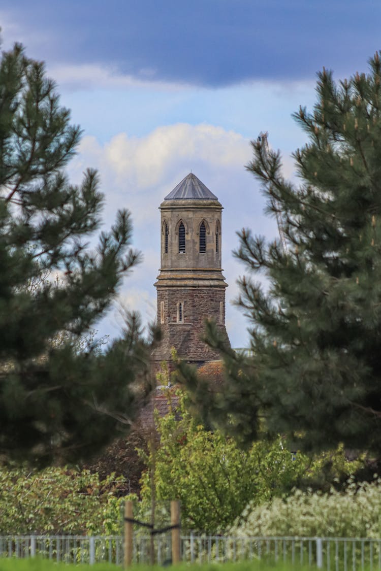 Trees In Front Of The Church Of St Luke