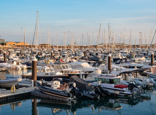 Motorboats and Motor Yachts Moored in Marina