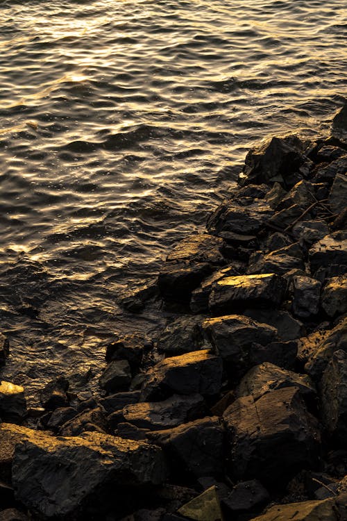 Бесплатное стоковое фото с берег, вертикальный выстрел, вода