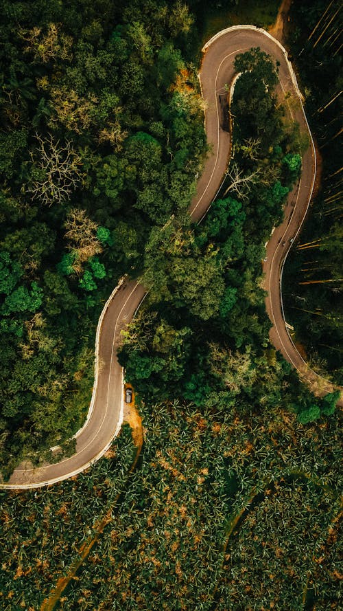 Gratis lagerfoto af drejninger, droneoptagelse, fugleperspektiv