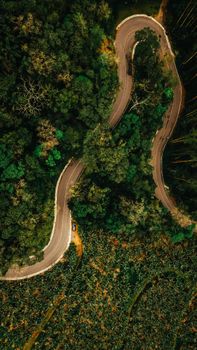 Aerial view of a winding road through lush green forest, showcasing nature's beauty and adventure.