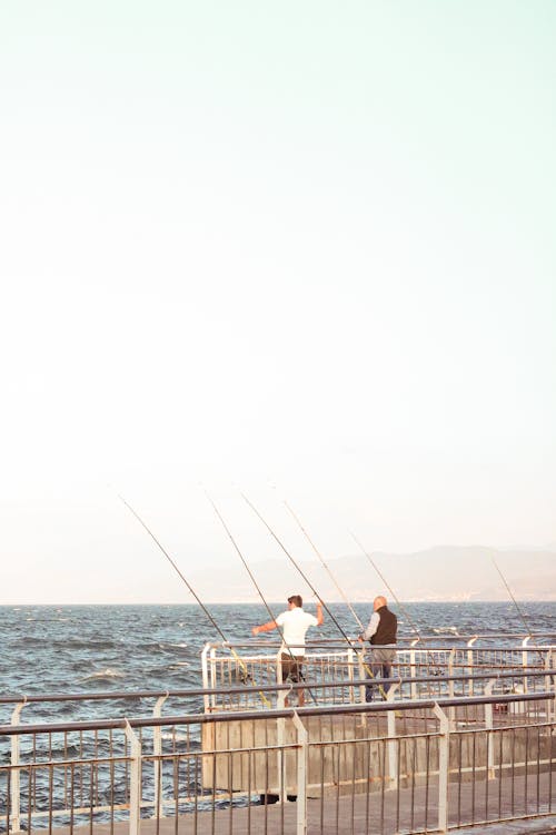 Balık tutmak, balıkçılar, boş zaman içeren Ücretsiz stok fotoğraf