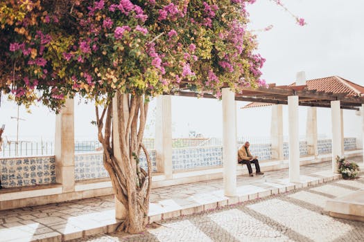 在一个宁静的花园里，盛开的九重葛旁，有人坐在长凳上，非常适合放松或旅行