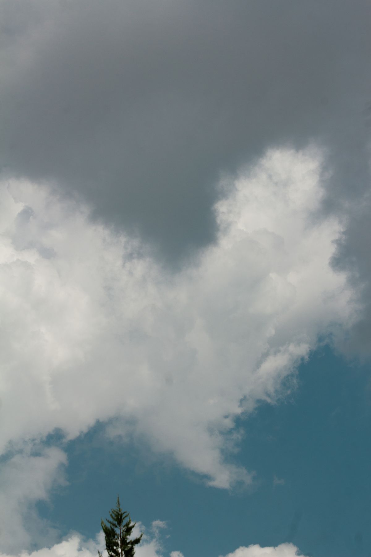 夏の青空と雲