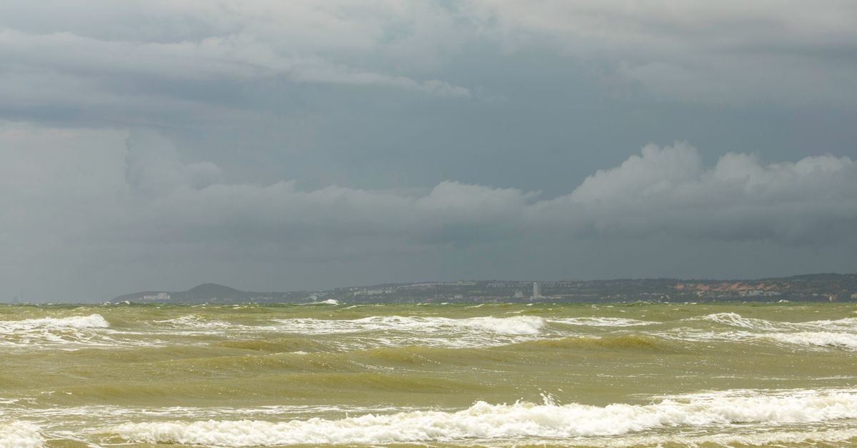 A More Troubling Picture of Sea Level Rise Is Coming into View — Photo by Serg Alesenko on Pexels