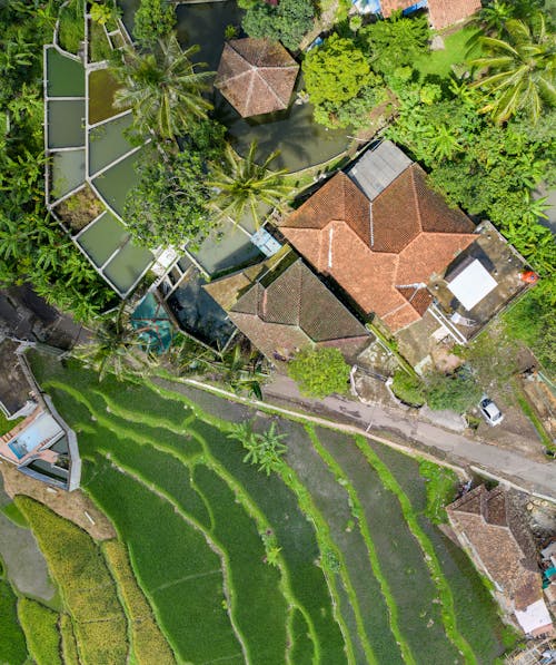 Aerial View of House